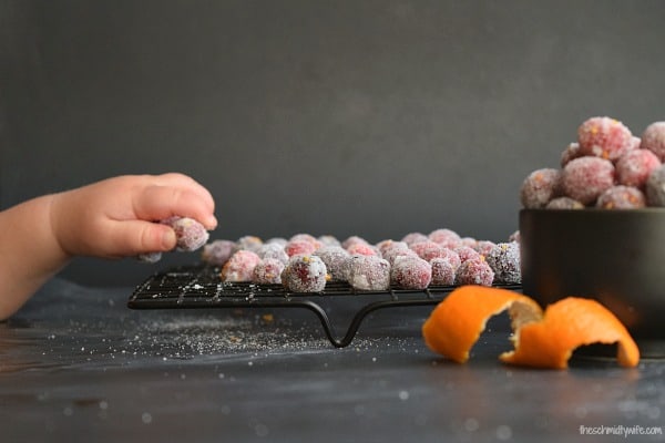 toddler hand reaching for Sugared Cranberries