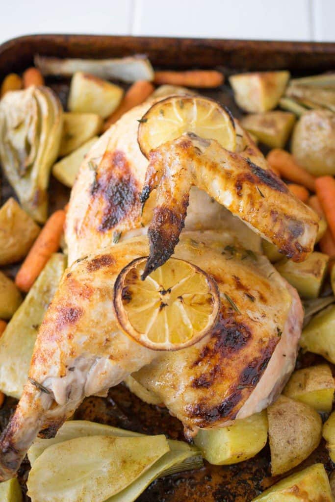 Sheet Pan Chicken Dinners Roundup