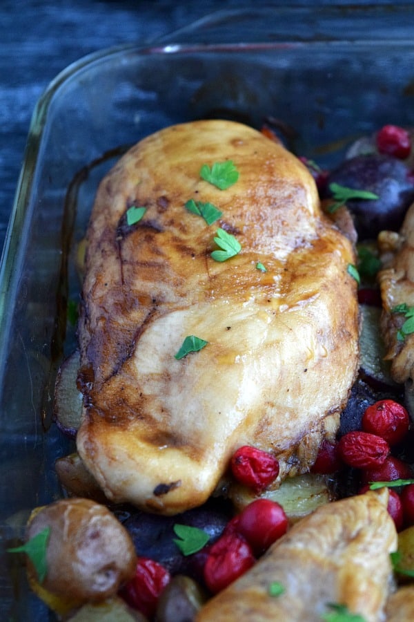close up of cooked chicken breast