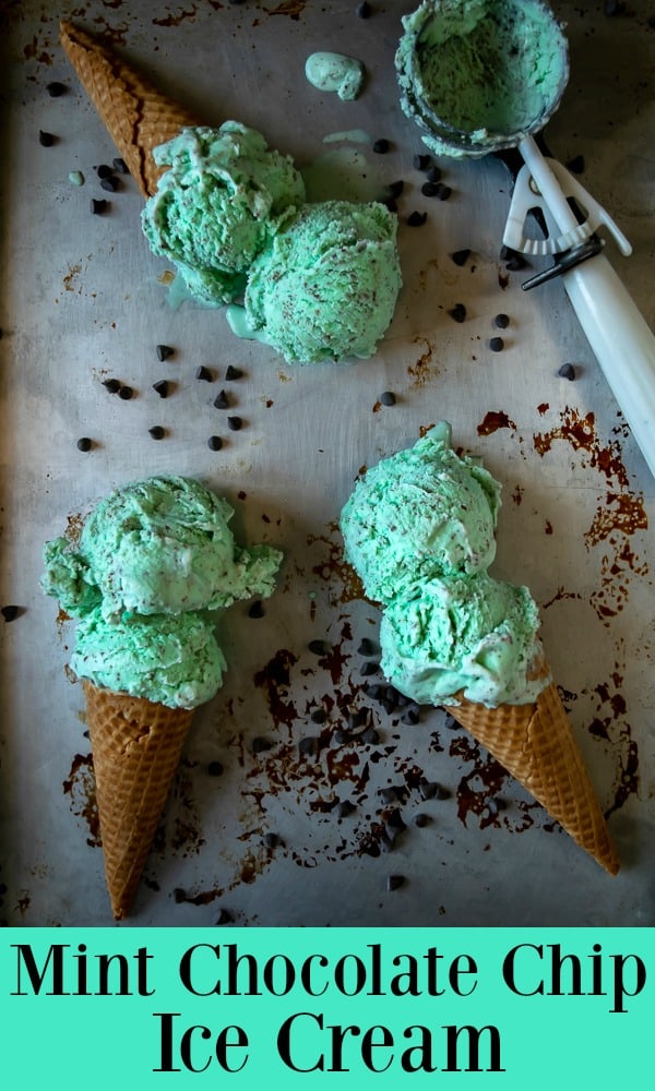 Homemade Mint Chocolate Chip Ice Cream