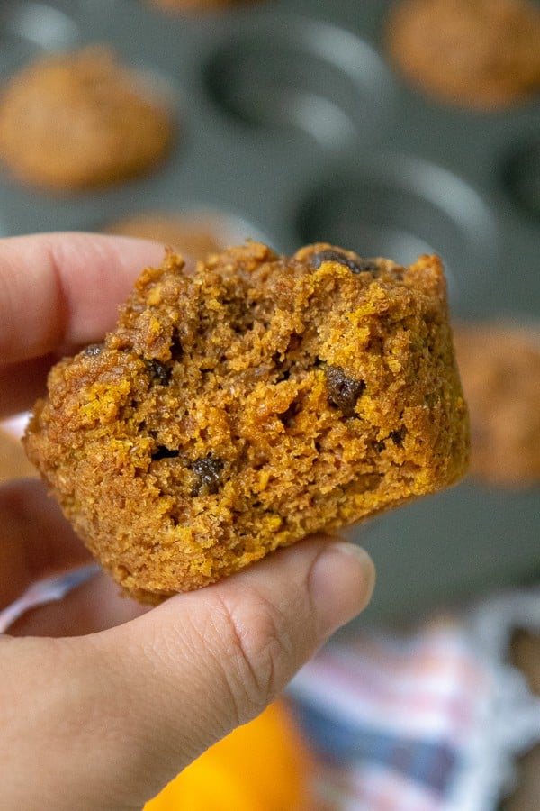 A hand holding a Pumpkin Bran Muffins with a bite taken out