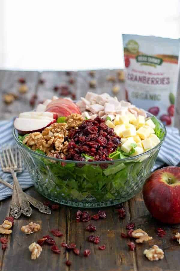 A bowl of Apple Cranberry Salad with Turkey and Apple Cider Vinaigrette