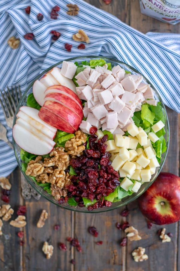 An overhead view of the Apple Cranberry Salad with Turkey and Apple Cider Vinaigrette