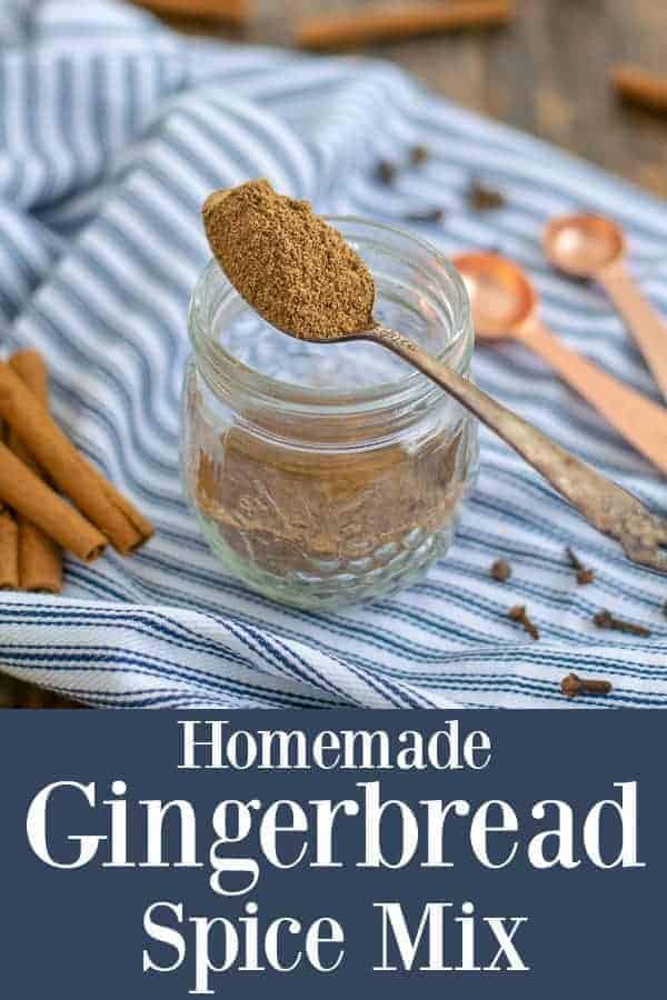 easy homemade gingerbread spice mixture