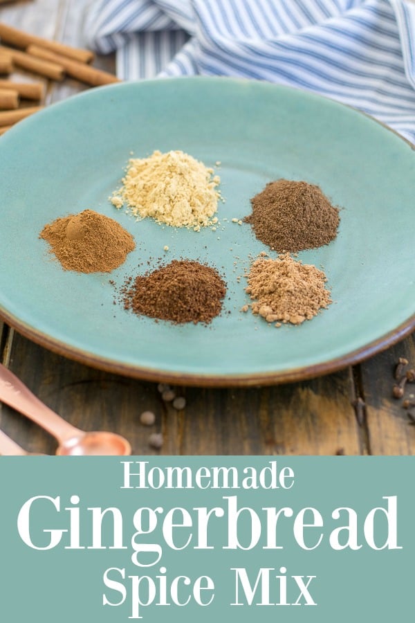 5 ingredient homemade gingerbread spice mix