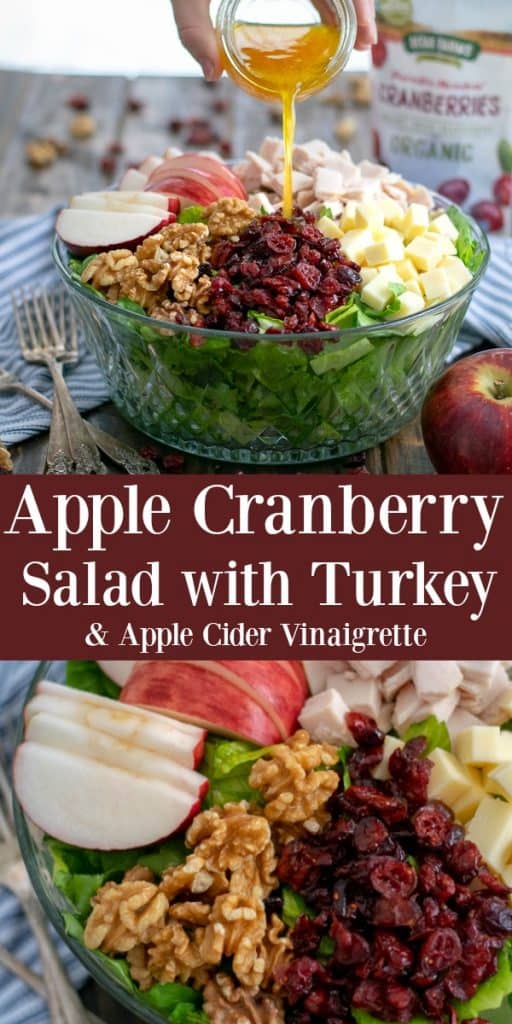 Apple Cranberry Salad with Turkey and a Healthy Apple Cider Vinaigrette