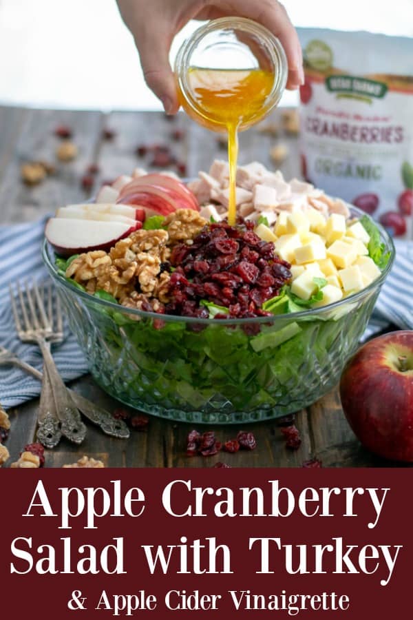 Apple Cranberry Salad with Turkey and a simple Apple Cranberry Vinaigrette