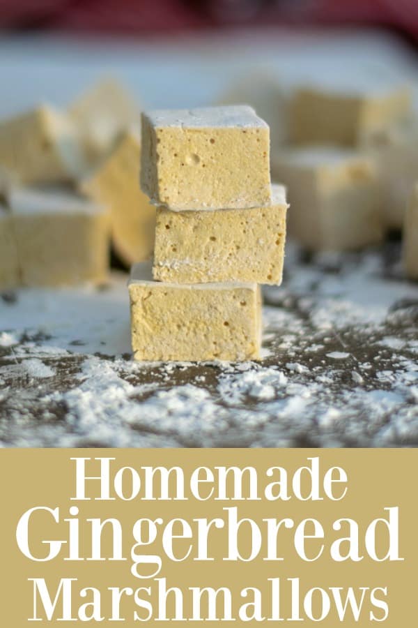 delicious & easy Homemade Gingerbread Marshmallows