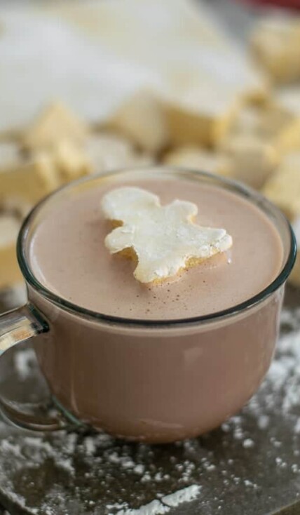 a homemade gingerbread marshmallow in a cup of hot chocolate