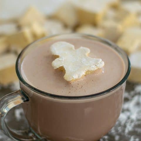 a homemade gingerbread marshmallow in a cup of hot chocolate