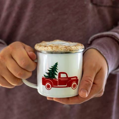 a person holding a skinny gingerbread tea latte