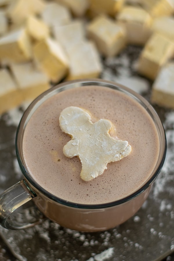 a gingerbread marshmallow in a cup of cocoa