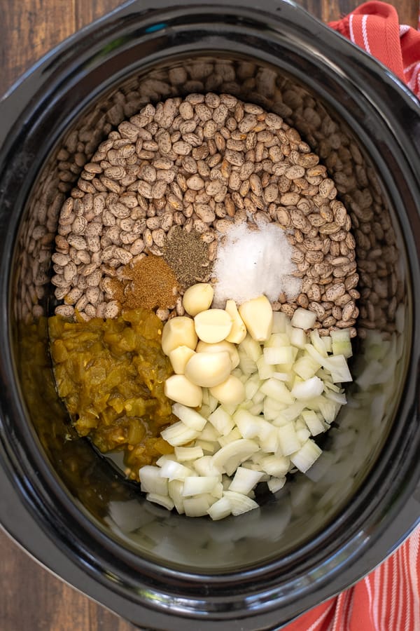 all of the ingredients needed sitting in a slow cooker