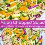 Asian Chopped Salad with grilled chicken, sesame vinaigrette, and mandarin oranges