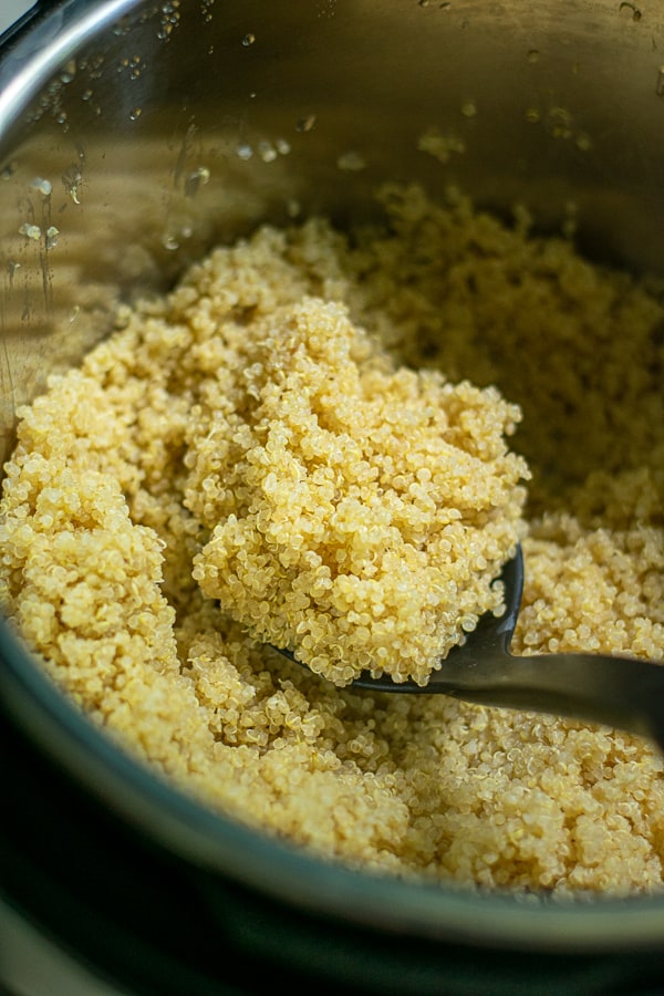 just cooked and fluffed quinoa in the pressure cooker pot