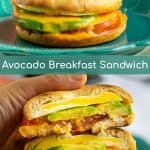 avocado breakfast sandwich cut open being held by a pair of hands