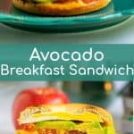 avocado, tomato, and cheddar breakfast sandwich sitting on a teal plate