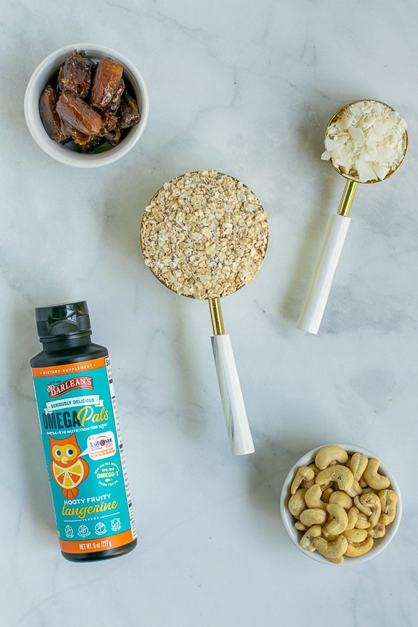 ingredients needed to make the energy bite recipe