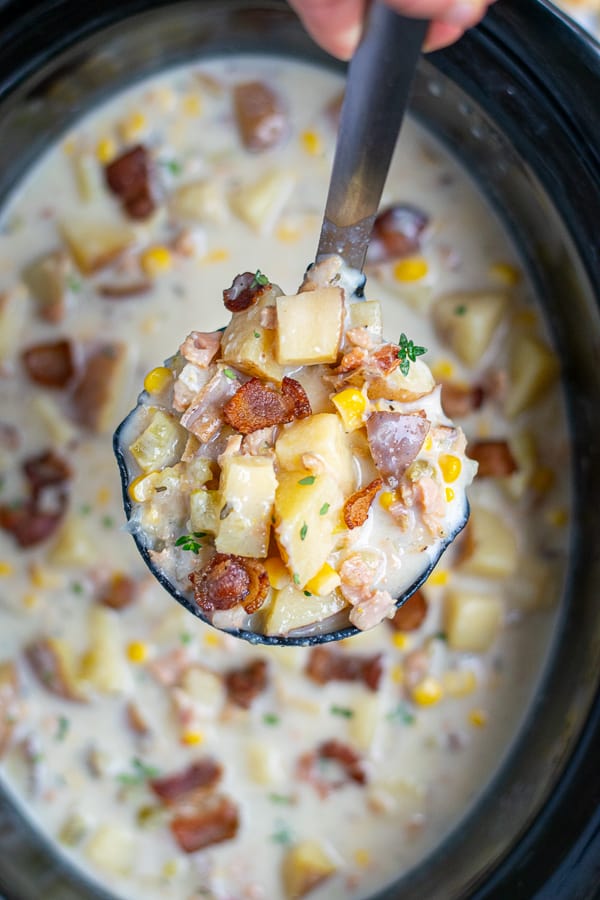 ladle full of New England clam chowder