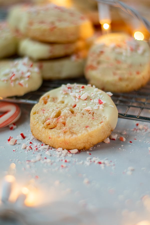 single white chocolate dipped peppermint cookie surrounded by Christmas lights