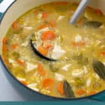 ladle full of chicken and rice soup