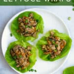 white plate with three ground chicken wraps on it
