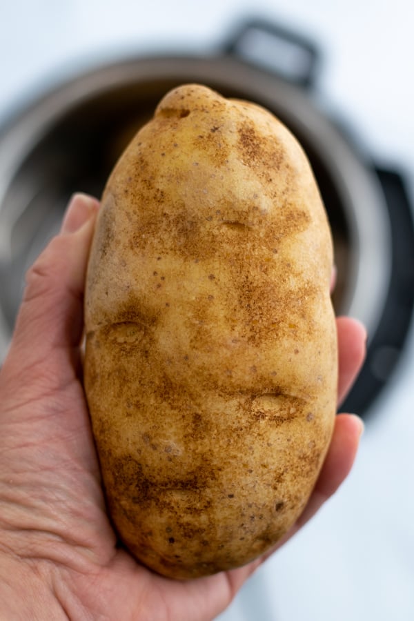 average size russet potato in women's hand