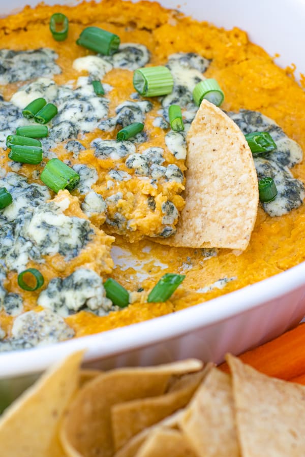 close up of a chip in buffalo dip with blue cheese and green onions
