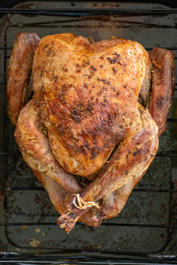 Close up of a fully cooked golden brown turkey that was dry brined on a roasting pan.
