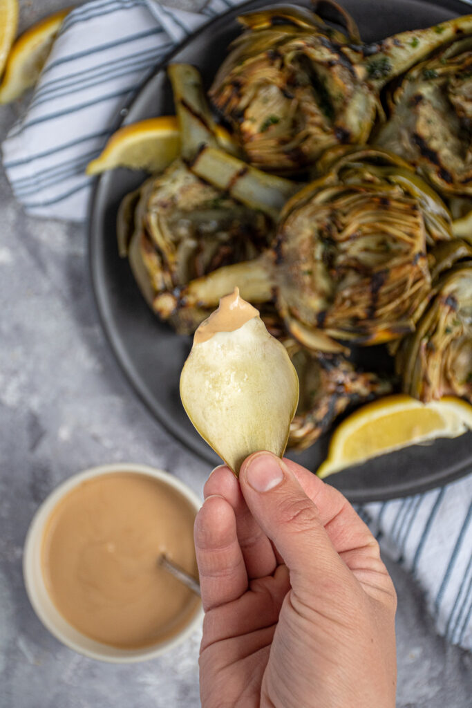 A leaf from an artichoke dipped into the creamy balsamic dipping sauce.