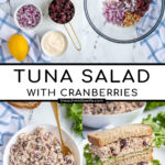 Pinterest Pin with text overlay 'Tuna Salad with Cranberries', image of two halves of a sandwich stacked revealing the no celery tuna salad.