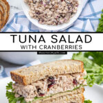 Pinterest Pin with text overlay 'Tuna Salad with Cranberries', image of two halves of a sandwich stacked revealing the no celery tuna salad.