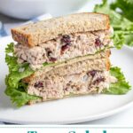 Pinterest Pin with text overlay 'Tuna Salad with Cranberries', image of two halves of a sandwich stacked revealing the no celery tuna salad.