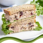 Pinterest Pin with text overlay 'Tuna Salad with Cranberries', image of two halves of a sandwich stacked revealing the no celery tuna salad.