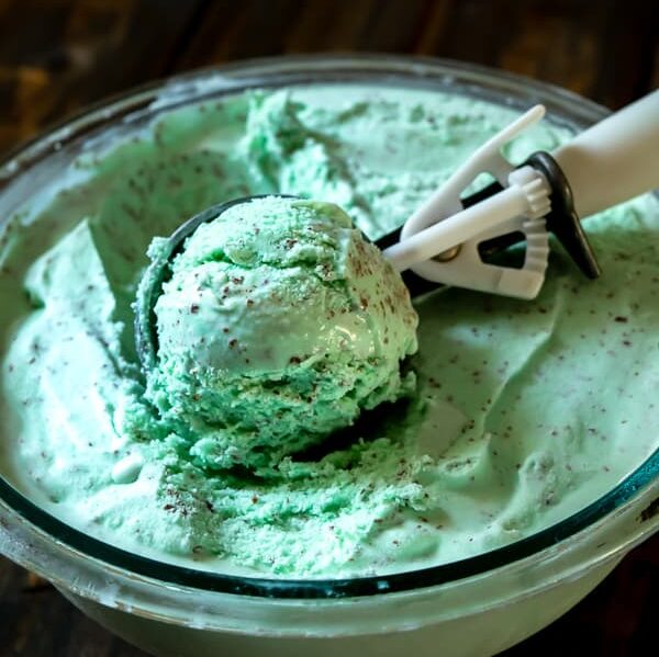 An ice cream scoop full of homemade Mint Chocolate Chip Ice Cream