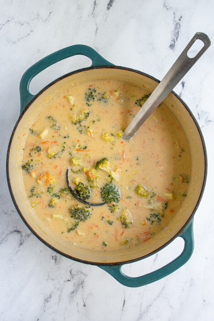 Large dutch oven pot filled with healthy broccoli cheddar soup with big chunks of Broccoli and little carrot pieces.