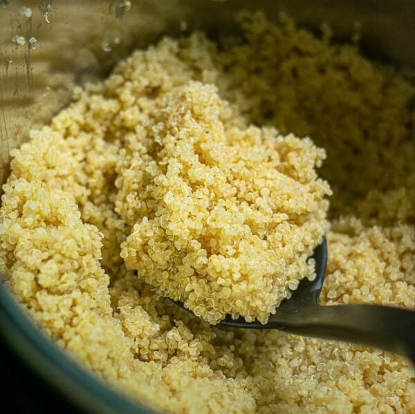 just cooked and fluffed quinoa in the pressure cooker pot