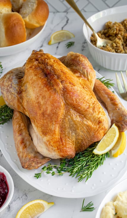 Easy Thanksgiving Turkey roasted and on a platter surrounded by herb garnishes and lemon wedges, showing off a golden brown skin.
