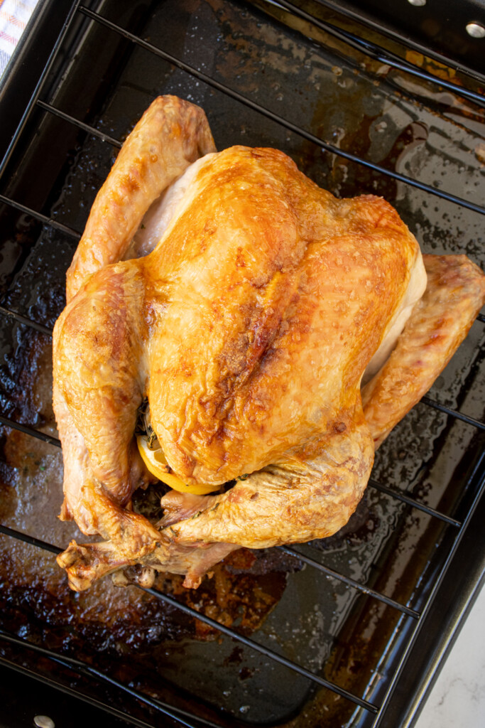 Overhead view of a golden brown turkey in a roasting pan.