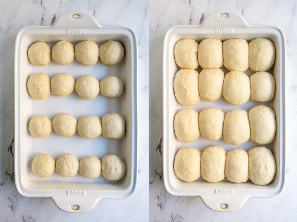 A before and after of dinner rolls on their second rise, showing the small balls that were formed and what they looked like twice as big and ready for the oven.