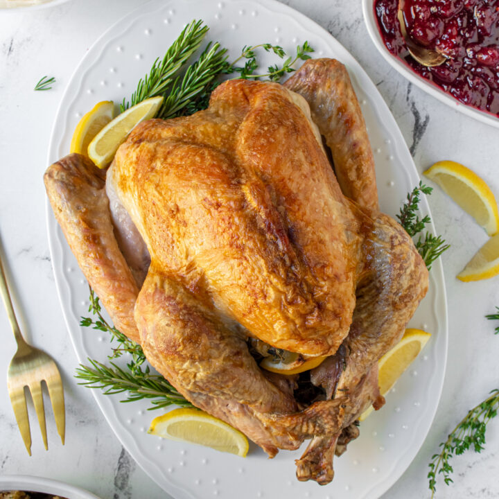 Overhead view of a white platter with a golden brown thanksgiving turkey.