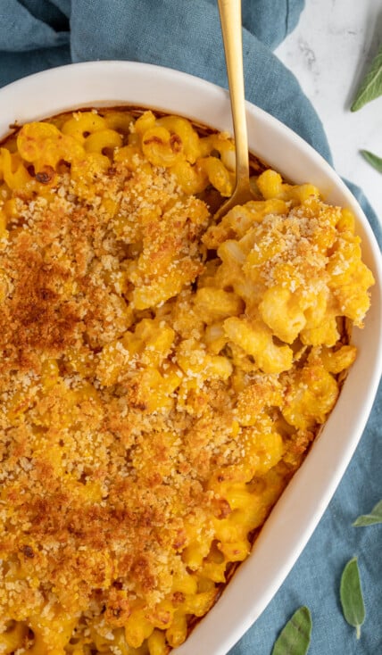 Overhead view of a white baking dish filled with baked pumpkin Mac and cheese with golden breadcrumbs on top and a gold spoon scooping some out of the corner.