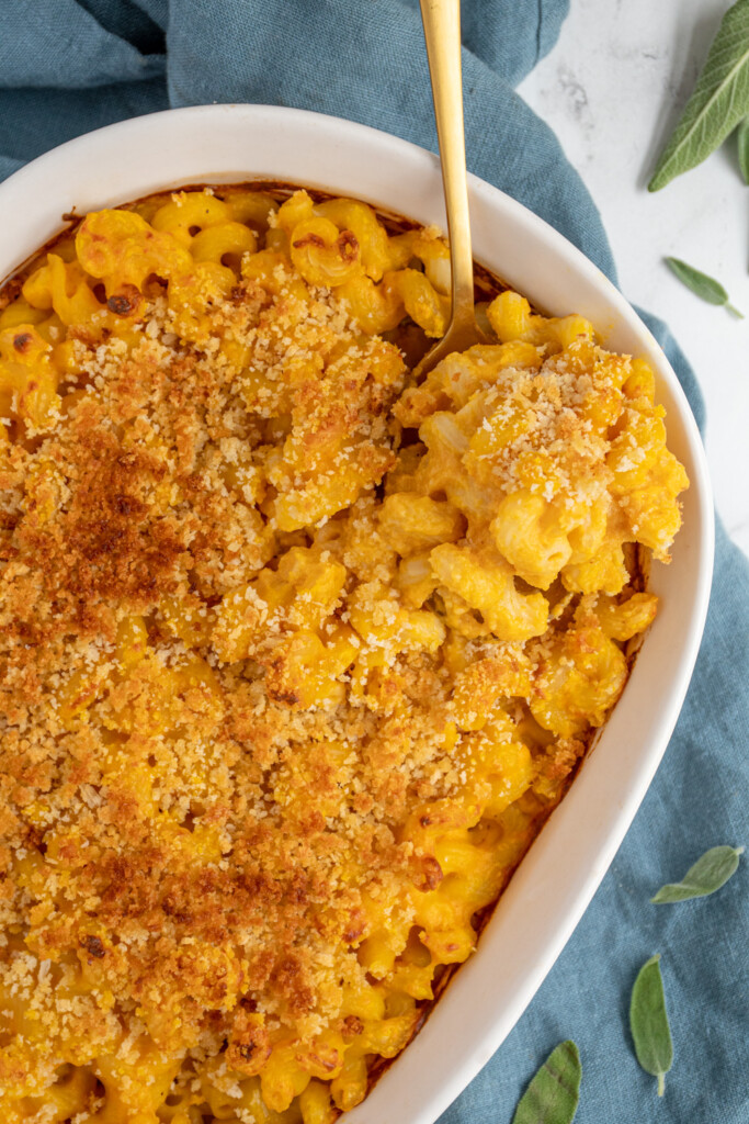 Overhead view of a white baking dish filled with baked pumpkin Mac and cheese with golden breadcrumbs on top and a gold spoon scooping some out of the corner.