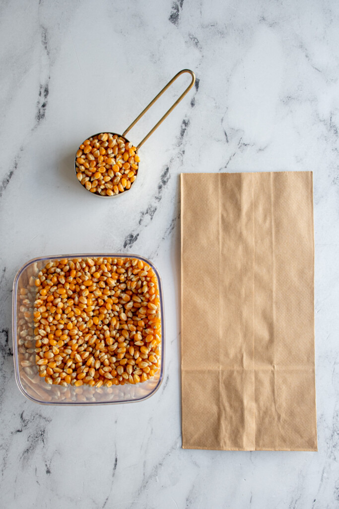 A container full of popcorn kernels with a scoop of kernels next to a brown paper bag.
