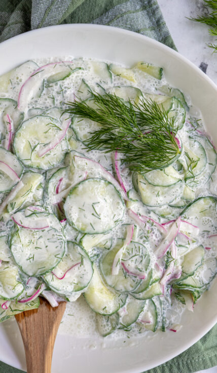 A white bowl filled with creamy cucumber salad with dill for garnish.