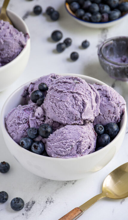 A white bowl with blueberry ice cream a and fresh blueberries.