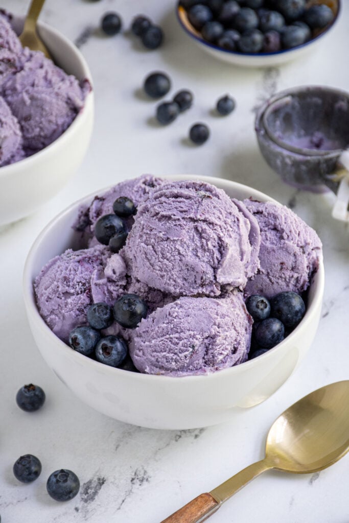 A white bowl with blueberry ice cream a and fresh blueberries.