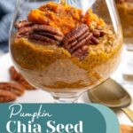 Pinterest Pin with text overlay "Pumpkin Chia Seed Pudding", image of a glass with pumpkin chia seed pudding topped with pecans.