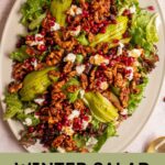Pinterest pin with text overlay 'Winter Salad with Candied Walnuts', image of a large platter covered in a colorful and festive salad.