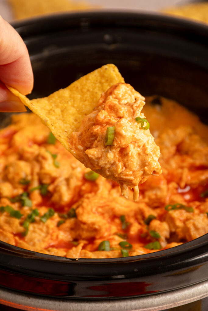 Buffalo chicken dip on a tortilla chip.